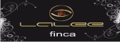 fi
